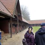 Die Stallungen.