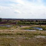 Das Goldenstedter Moor von oben