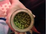 Hopfen-Pellets