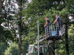 Lichterketten aufh&auml;ngen am 12.07.2025