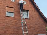 dritter Versuch